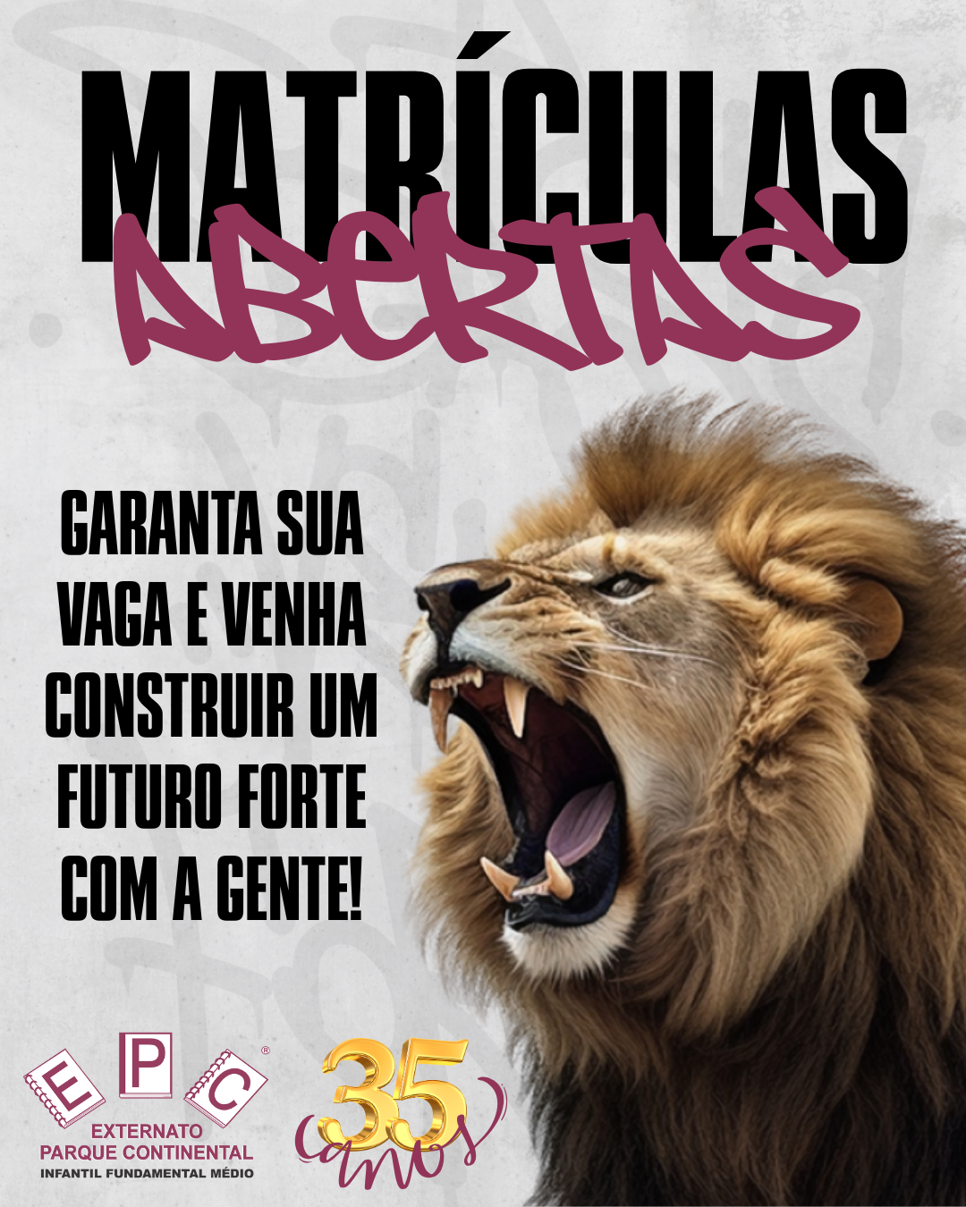 imagem popup